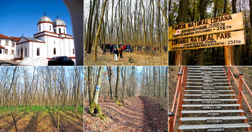 Geoarhiva 50: Comana, 14 februarie&nbsp;2026